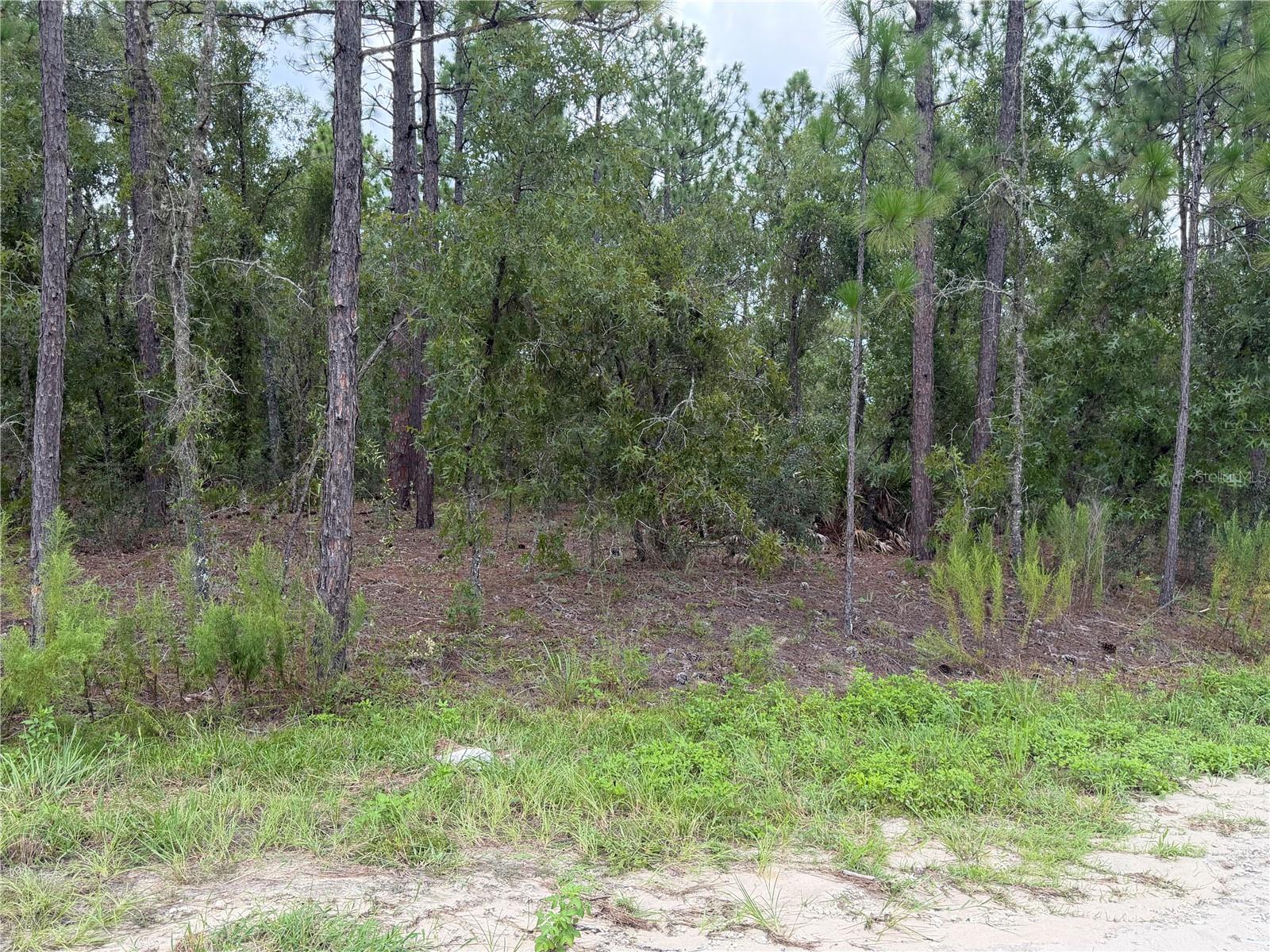Land in OCALA