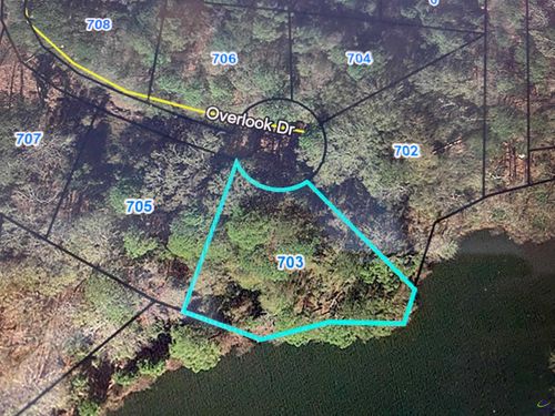 703 Overlook Dr, Montezuma, GA, 31063-1031 | Card Image