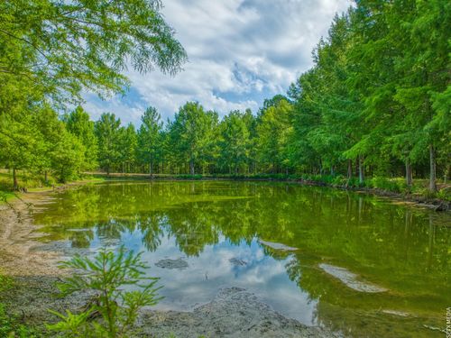 1630 County Road 219, Brookeland, TX, 75931-4031 | Card Image