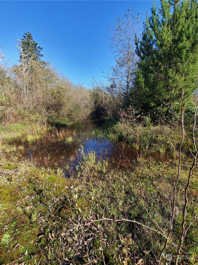 36602 Stackpole Rd, Home with 0 bedrooms, 0 bathrooms and null parking in Oysterville WA | Image 8