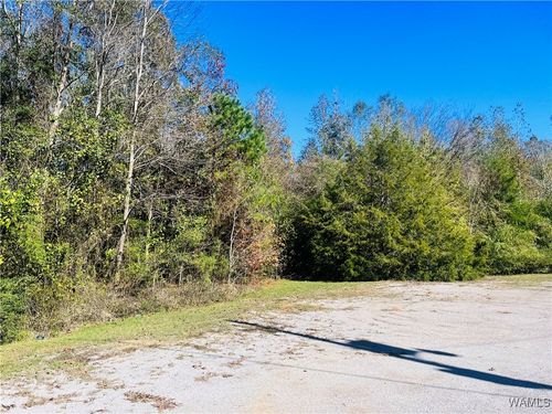 LOT #16 Jennings Ferry Road, Akron, AL, 35441 | Card Image