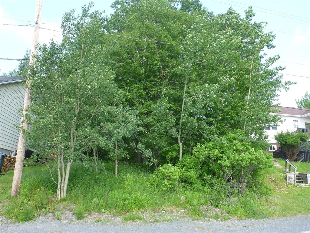 Land in Clarenville
