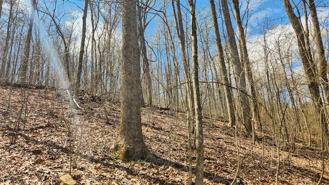 TRACT-2-PIKE-LAKE-GETAWA - 0 Pike Lake Rd, Home with 0 bedrooms, 0 bathrooms and null parking in Bainbridge OH | Image 35