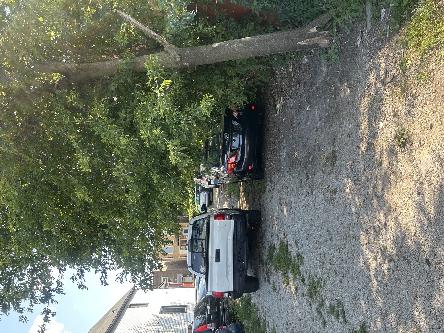 Land in Chicago 5