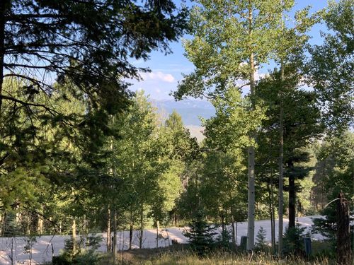 433 El Camino Real, Angel Fire, NM, 87710-8169 | Card Image