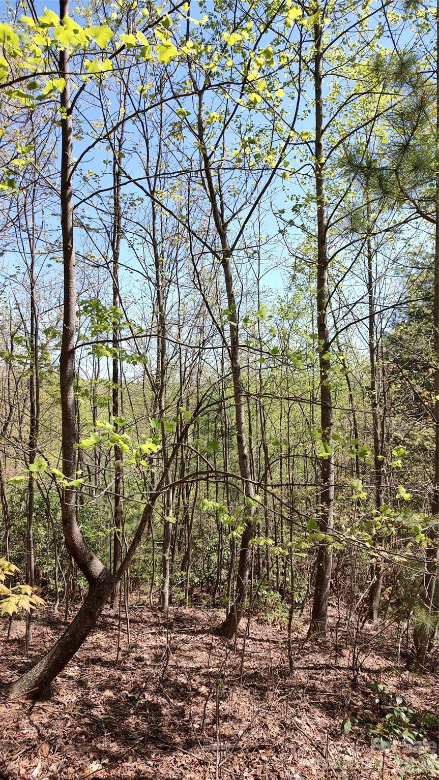 Land in Purlear 5