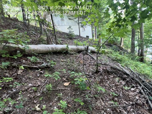 713 Driftwood Cir, Sevierville, TN, 37876-5868 | Card Image