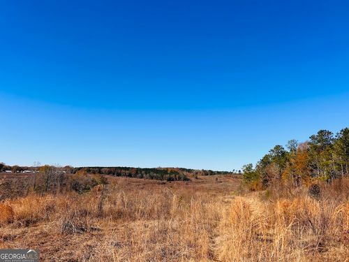 0 Jaye Rd, Rupert, GA, 31081 | Card Image