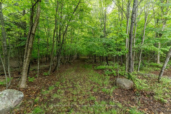 579 S Waseosa Lake Rd, House other with 3 bedrooms, 2 bathrooms and 10 parking in Huntsville ON | Image 43