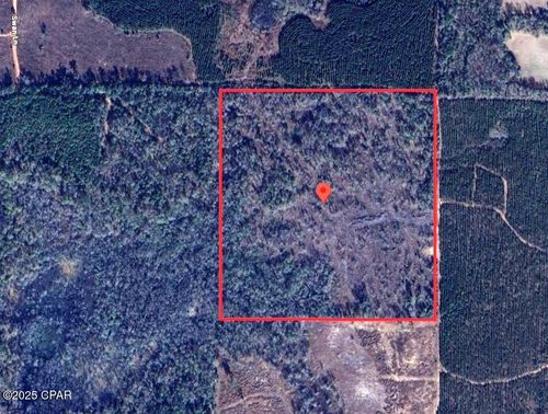40 Swan Ln, Campbellton, FL, 32426 | Card Image
