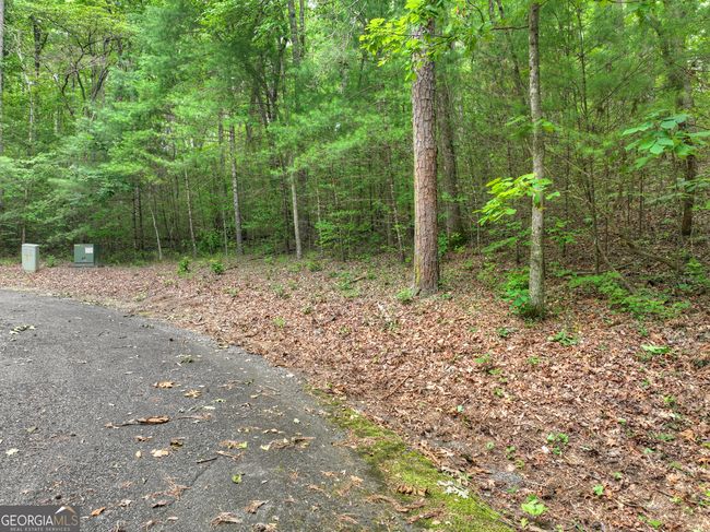 LTS 5, 6, 7 Mountain Springs Rd, Home with 0 bedrooms, 0 bathrooms and null parking in Ellijay GA | Image 17