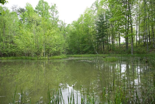 40.46AC Barker Cove Loop, Home with 1 bedrooms, 1 bathrooms and null parking in Palmer TN | Image 42