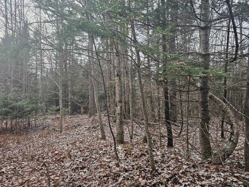 map-r14-lot-4-land-onl-461 Hill Road, Dummer, NH, 03588 | Card Image