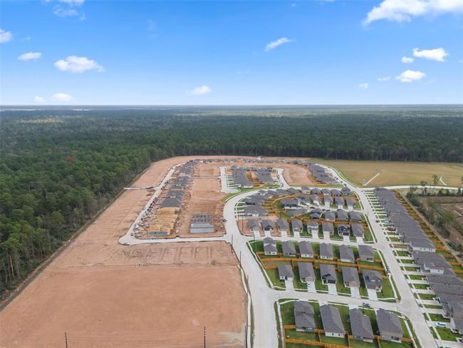 5955 Canyon Dawn Dr, House other with 3 bedrooms, 2 bathrooms and null parking in Spring TX | Image 26