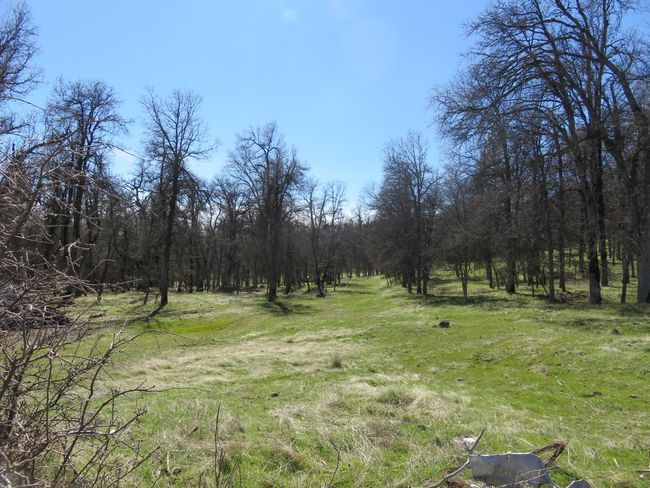 4196 Bald Mountain Rd, Home with 0 bedrooms, 0 bathrooms and null parking in West Point CA | Image 13
