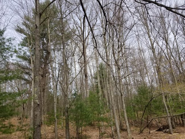 15 W 12 Mile Rd, Home with 0 bedrooms, 0 bathrooms and null parking in Irons MI | Image 7