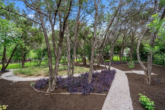 Backyard | Image 34