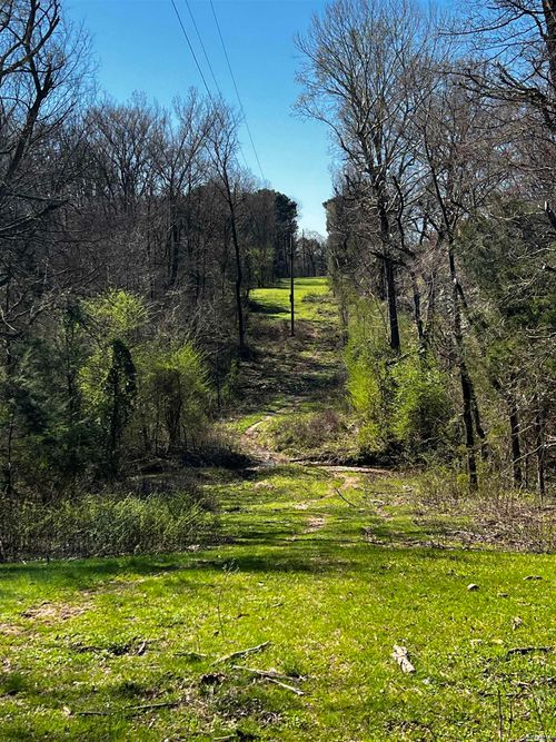 TBD Otter Slide Rd, Horatio, AR, 71842 | Card Image