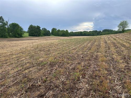 00 Road Runner Hollow Road, Olive Branch, IL, 62990 | Card Image