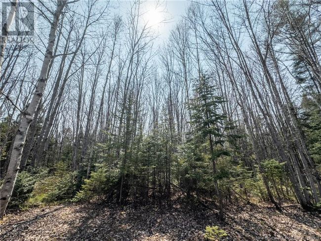 1387 Bells Mills Rd, Home with 0 bedrooms, 0 bathrooms and null parking in Richibouctou-Village NB | Image 9