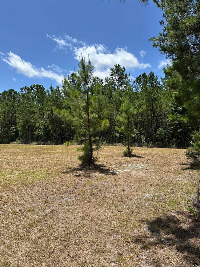218 Samworth Loop, Home with 0 bedrooms, 0 bathrooms and null parking in Georgetown SC | Image 5