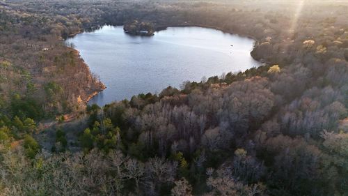 0000 Holiday Pine Dr, Mineola, TX, 75773 | Card Image