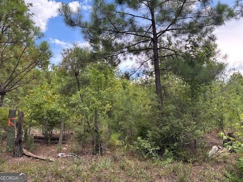 lot-3-0 Simons Rd, Thomson, GA, 30824 | Card Image