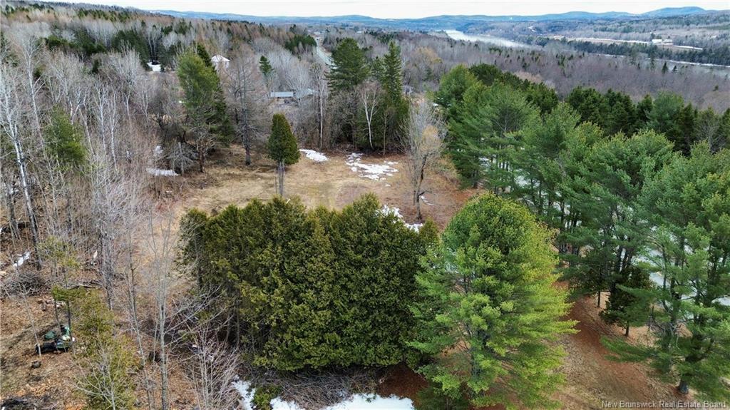 Land in Beechwood 4