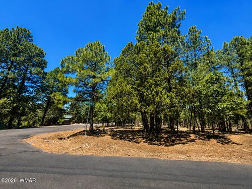 711 Pine Creek Dr, Lakeside, AZ, 85929-5662 | Card Image