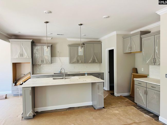 314 Rising Stream Way, House other with 4 bedrooms, 3 bathrooms and null parking in Chapin SC | Image 6