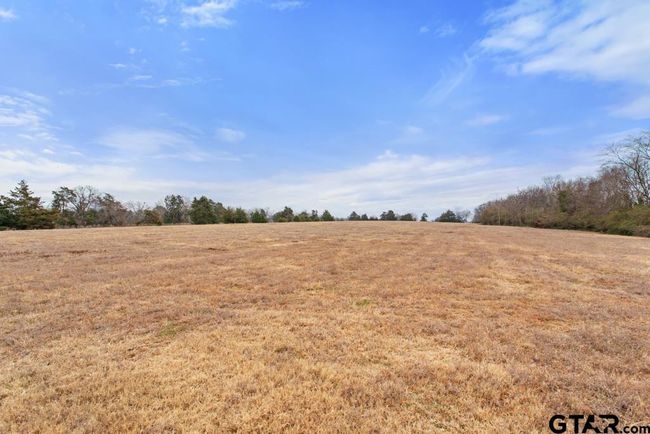 15037 State Highway 110, Home with 0 bedrooms, 0 bathrooms and null parking in Van TX | Image 33