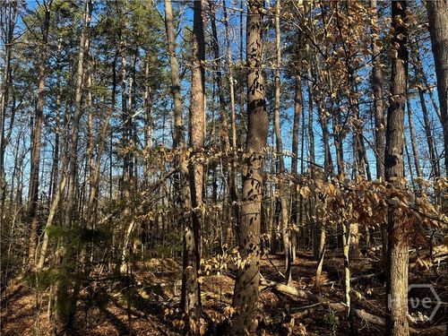 0 Alpine Way, Lavonia, GA, 30553 | Card Image