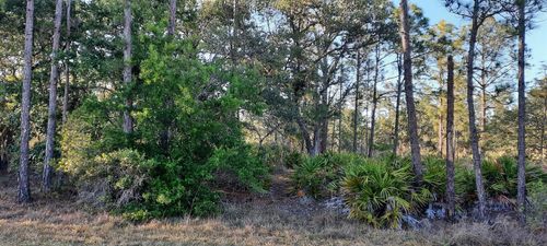 1012 Japonica Ave, INDIAN LAKE ESTATES, FL, 33855 | Card Image