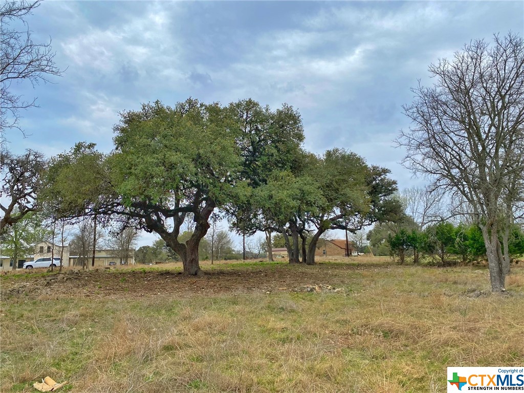 Land in Blanco