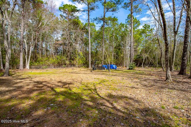 210 Creek Bank Dr, House other with 3 bedrooms, 2 bathrooms and null parking in New Bern NC | Image 7