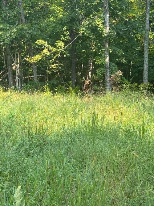 1000 Hidden Acres, Mount Olivet, KY, 41064 | Card Image