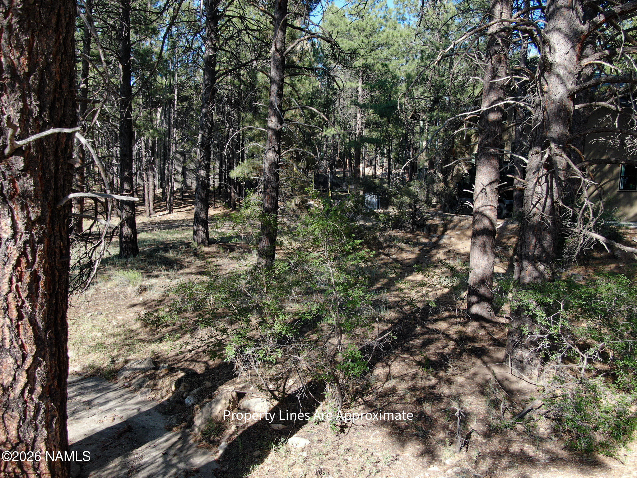 Land in Flagstaff 2
