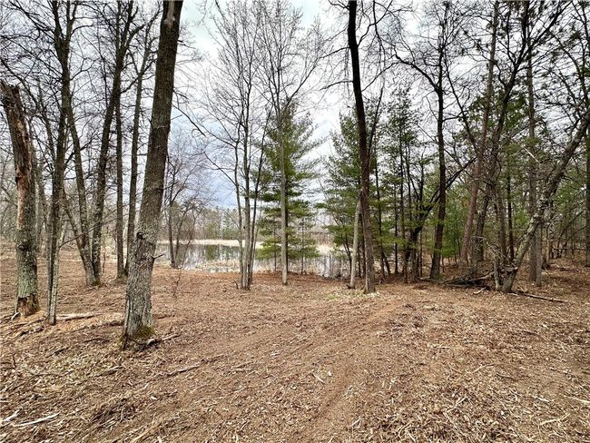 16 295th Street, Home with 0 bedrooms, 0 bathrooms and null parking in Holcombe WI | Image 49