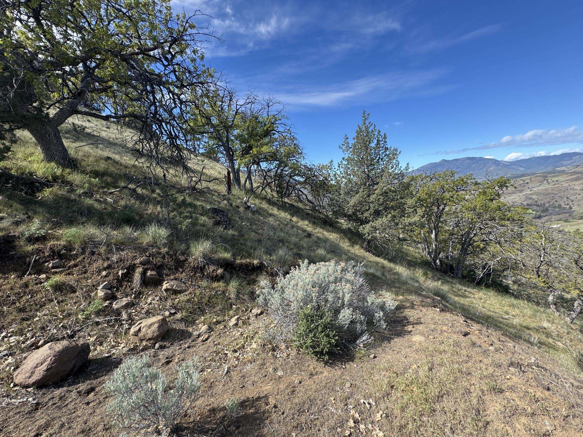 Land in Montague 4
