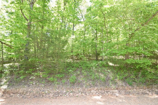 lot 81, 82, and 83 Lopez Drive, Home with 0 bedrooms, 0 bathrooms and null parking in Rogers AR | Image 2