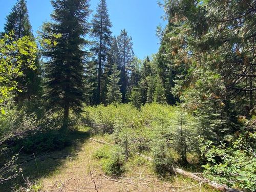 1-B-3 Cascade St, Mccloud, CA, 96057 | Card Image
