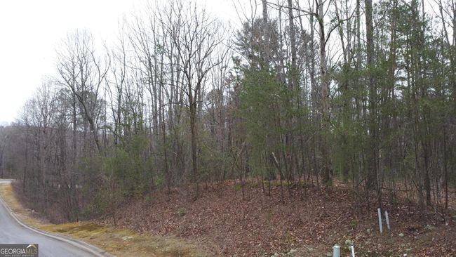 LOT 1446 Glazenwood Dr, Home with 0 bedrooms, 0 bathrooms and null parking in Clarkesville GA | Image 4