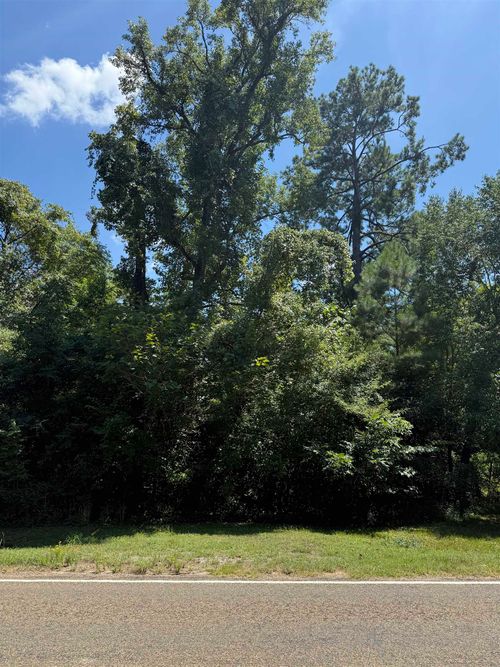 12-mile-on-left-before-p-14535 N Hwy 87, Burkeville, TX, 75932 | Card Image