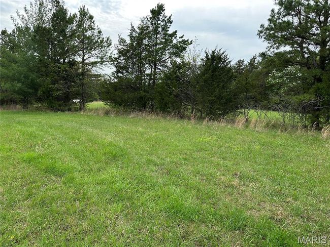 0 Butcher Branch Rd, Home with 0 bedrooms, 0 bathrooms and null parking in Hillsboro MO | Image 9