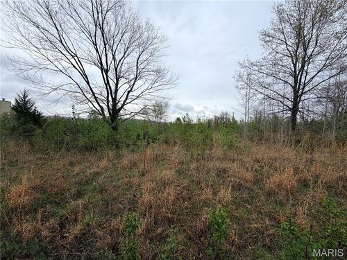 0 Salina Rd, Waynesville, MO, 65583 | Card Image