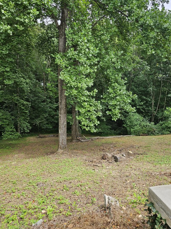 No neighbors behind you. Just trees and nature. | Image 40