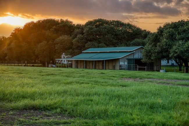 1100 Dittmar Rd, Home with 3 bedrooms, 3 bathrooms and 2 parking in Cat Spring TX | Image 4