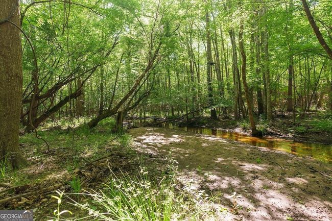 6053 Sun Hill Grange Rd, Home with 0 bedrooms, 0 bathrooms and null parking in Davisboro GA | Image 66