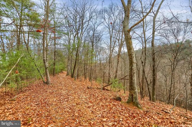 1245 Thompson Hollow Ln, House other with 3 bedrooms, 2 bathrooms and null parking in HONEY GROVE PA | Image 61