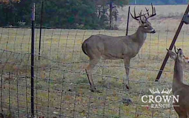 Exterior view | Image 5